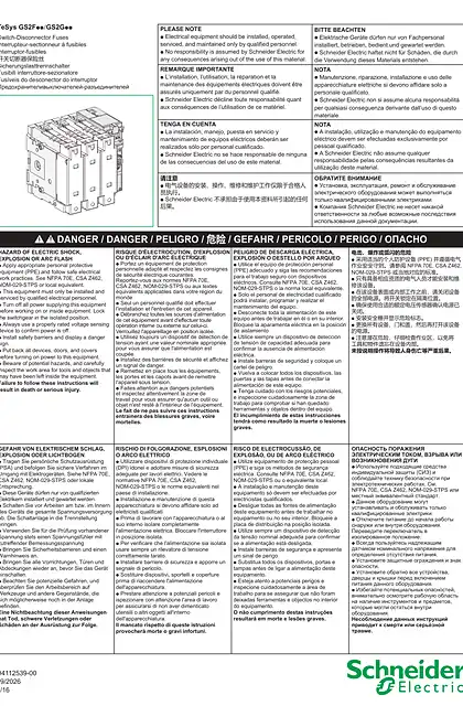 schneider施耐德TeSys GS2Foo_GS2Goo - 开关切断器保险丝 50-63 A - 说明页